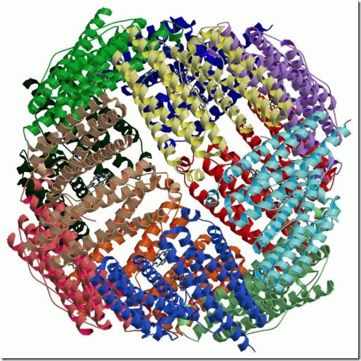 proteinas. Heteroproteínas, proteínas