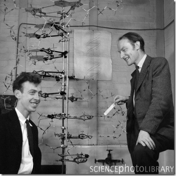 SPL_E_H400040-Watson_and_Crick_with_their_DNA_model-SPL