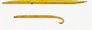 NEMATEL1