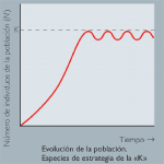 Estrategia de la k