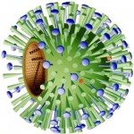 ¿Por qué ocurren las pandemias de gripe?