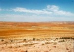 Biomas: Desiertos