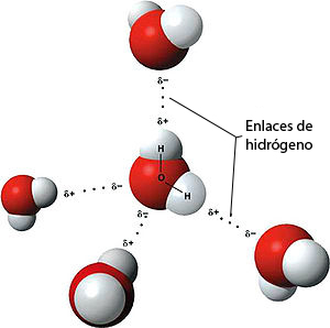 Molécula H2O