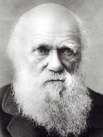 Darwin: personaje indispensable para entender las modernas ideas evolutivas.