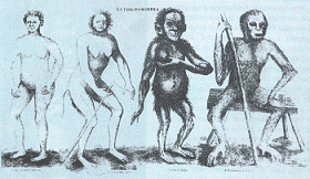 Eslabones humanos en la biología del s. XVIII