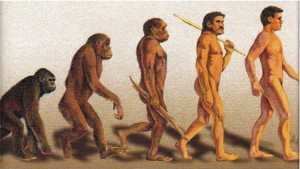 La propuesta de Darwin de que el hombre venía del mono no era exactamente cierta. El hombre y el mono compartieron un ancestro común, desde entonces la evolución a creado dos especies muy diferentes