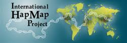 El proyecto Internacional HapMap nos ayuda a relacionar SNPs con enfermedades o con la probabilidad de tenerlas.