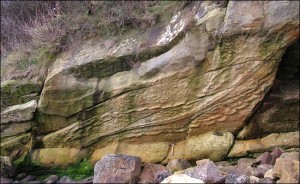 El fósil del rastro de un escorpión de metro y medio saliendo del agua se encontró en Escocia. Aunque el escorpión más grande podría haber medido 2,5 metros.