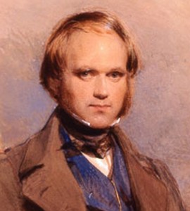 El joven Darwin vió las 14 especies de pinzones separadas en islas y comprendió las fuerzas evolutivas de la especiación.