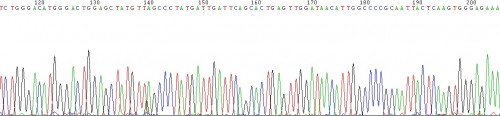 Los avances en las técnicas de secuenciación han permitido conocer genomas enteros.