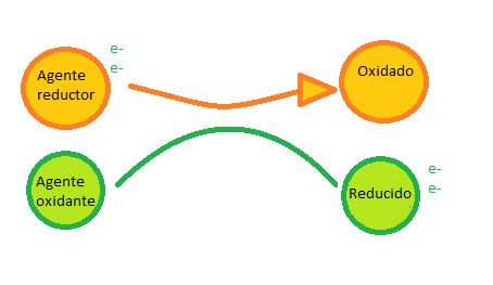 En los seres vivos se acoplan los procesos de oxidación con los de reducción para no perder la energía.
