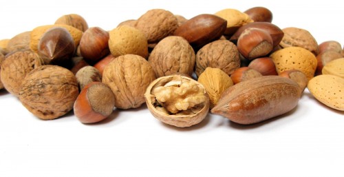 Las nueces son frutos secos, puesto que su endospermo tiene un porcentaje bajo de agua.