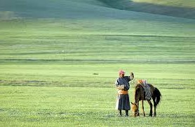 La estepa mongola es un ejemplo de ecosistema. 