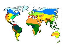 Existen muchos mapas con los diferentes biomas que se encuentran en el mundo.