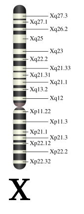 el síndrome de Turner es causado por la ausencia del cromosoma x o una de sus regiones