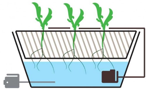 Esquema de cultivo hidropónico con la raíz flotante