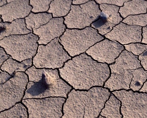 La desertificación es un problema que afecta a paises de todo el mundo.