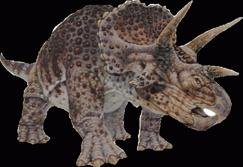 Los Triceratops son una de las especies recuperadas en las novelas de arque Jurásico.
