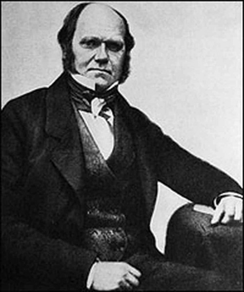 C. Darwin, uno de los creadores de la teoría evolutiva y de la selección natural.